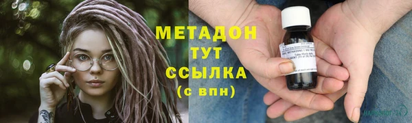 стаф Аркадак