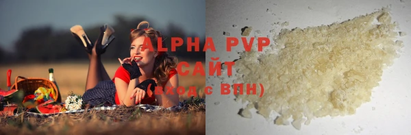 стаф Аркадак